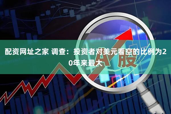 配资网址之家 调查：投资者对美元看空的比例为20年来最大